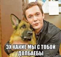  эх какие мы с тобой долбаебы