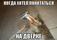 когда хотел покотаться на дверке