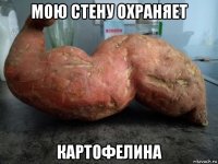 мою стену охраняет картофелина