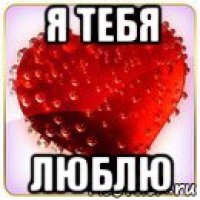 я тебя люблю
