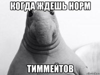 когда ждешь норм тиммейтов