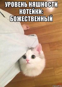 уровень няшности котейки: божественный 
