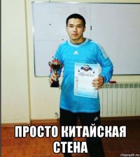  просто китайская стена