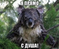 я прямо с душа!