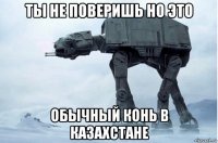 ты не поверишь но это обычный конь в казахстане
