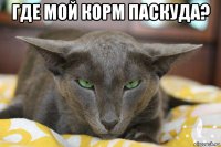 где мой корм паскуда? 