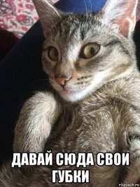  давай сюда свои губки