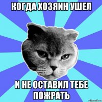 когда хозяин ушел и не оставил тебе пожрать