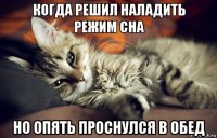когда решил наладить режим сна но опять проснулся в обед