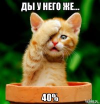 ды у него же... 40%