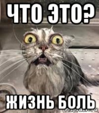 что это? жизнь боль