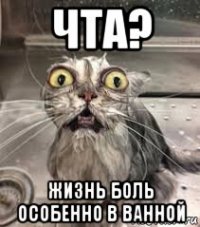 чта? жизнь боль особенно в ванной