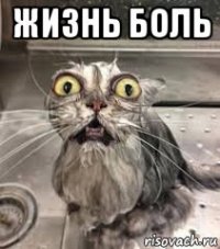жизнь боль 
