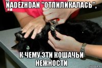 nadezhdan "отпиликалась", к чему эти кошачьи нежности