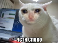  чстн слово