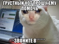 грустный кот прошу, ему помочь звоните 8******