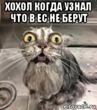 хохол когда узнал что в ес не берут 