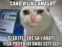 cand vii in camasa si ea iti cere sa-i arati fisa postului unde esti sef