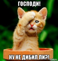 господи! ну не дибил ли?!