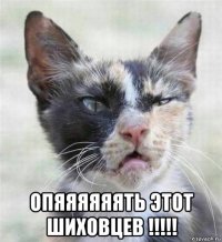  опяяяяяять этот шиховцев !!!!!