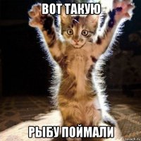 вот такую рыбу поймали