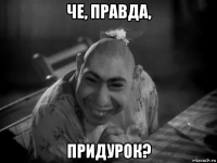 че, правда, придурок?