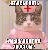 небось опять умывался под хвостом?