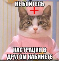 не бойтесь кастрация в другом кабинете
