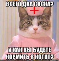 всего два соска? и как вы будете кормить 8 котят?