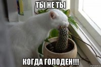ты не ты когда голоден!!!