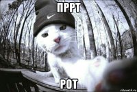 пррт рот