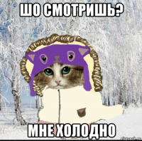 шо смотришь? мне холодно