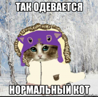 так одевается нормальный кот