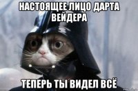 настоящее лицо дарта вейдера теперь ты видел всё