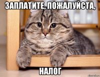 заплатите, пожалуйста, налог
