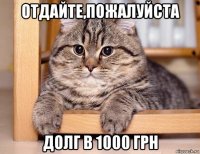 отдайте,пожалуйста долг в 1000 грн
