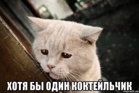  хотя бы один коктейльчик