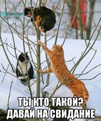  ты кто такой? давай на свидание