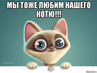 мы тоже любим нашего котю!!! 