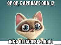 op op, e aproape ora 12 inca oleaca si e 18:00
