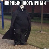 жирный настырный 