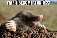 ты чё бессмертный ?? 