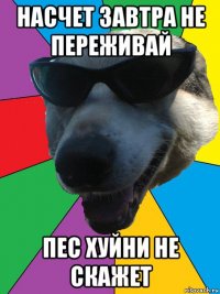 насчет завтра не переживай пес хуйни не скажет