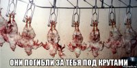  они погибли за тебя под крутами