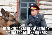  итак кто спиздил кур не ты ли пес барбос бешенный крос