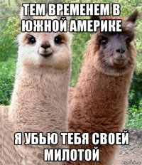 тем временем в южной америке я убью тебя своей милотой