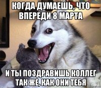 когда думаешь, что впереди 8 марта и ты поздравишь коллег так же, как они тебя