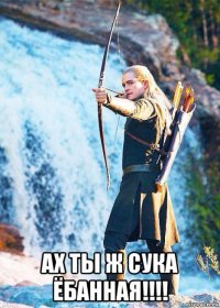  ах ты ж сука ёбанная!!!!