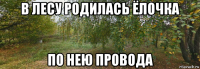 в лесу родилась ёлочка по нею провода