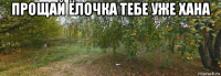 прощай ёлочка тебе уже хана 